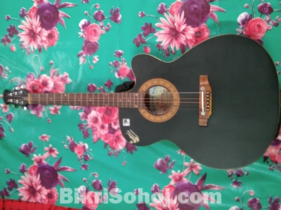 Signeture Guiter Sell